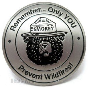 Smokey Bear Remember Only You Prevent Wildfires Collectable Fridge Magnet 1.75"